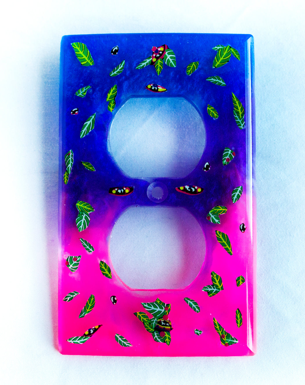 Light Switch and Wall Plates